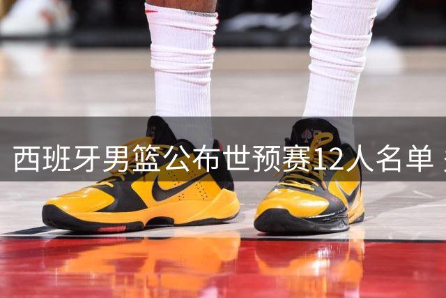 西班牙男篮公布世预赛12人名单 多名NBA现役球员领衔出战